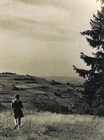 Veselá-Rovénky-pohled ze Sojova na obdělávaná políčka v Rovénkách-1950.jpg